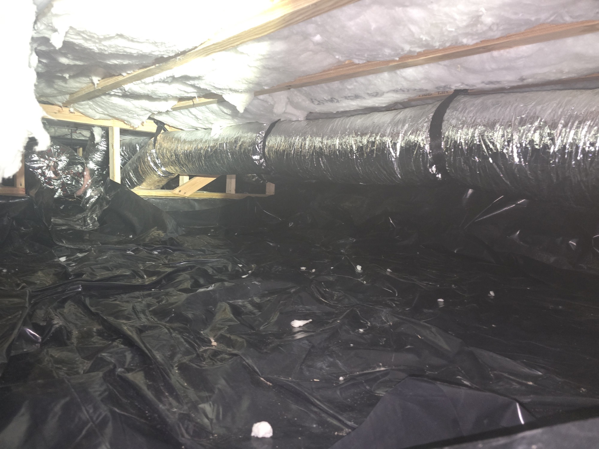Heavy black mold on interior wall